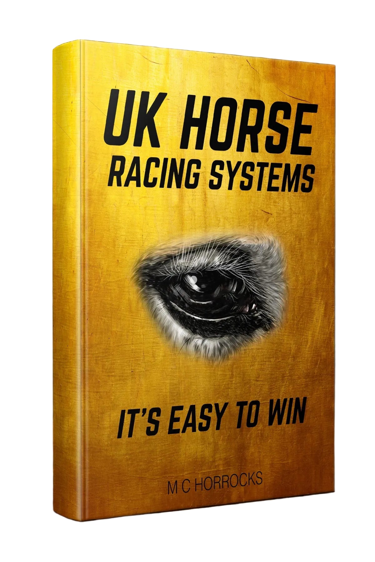 Betfairplacemarket UK Horse Racing Systems - It's Easy To Win