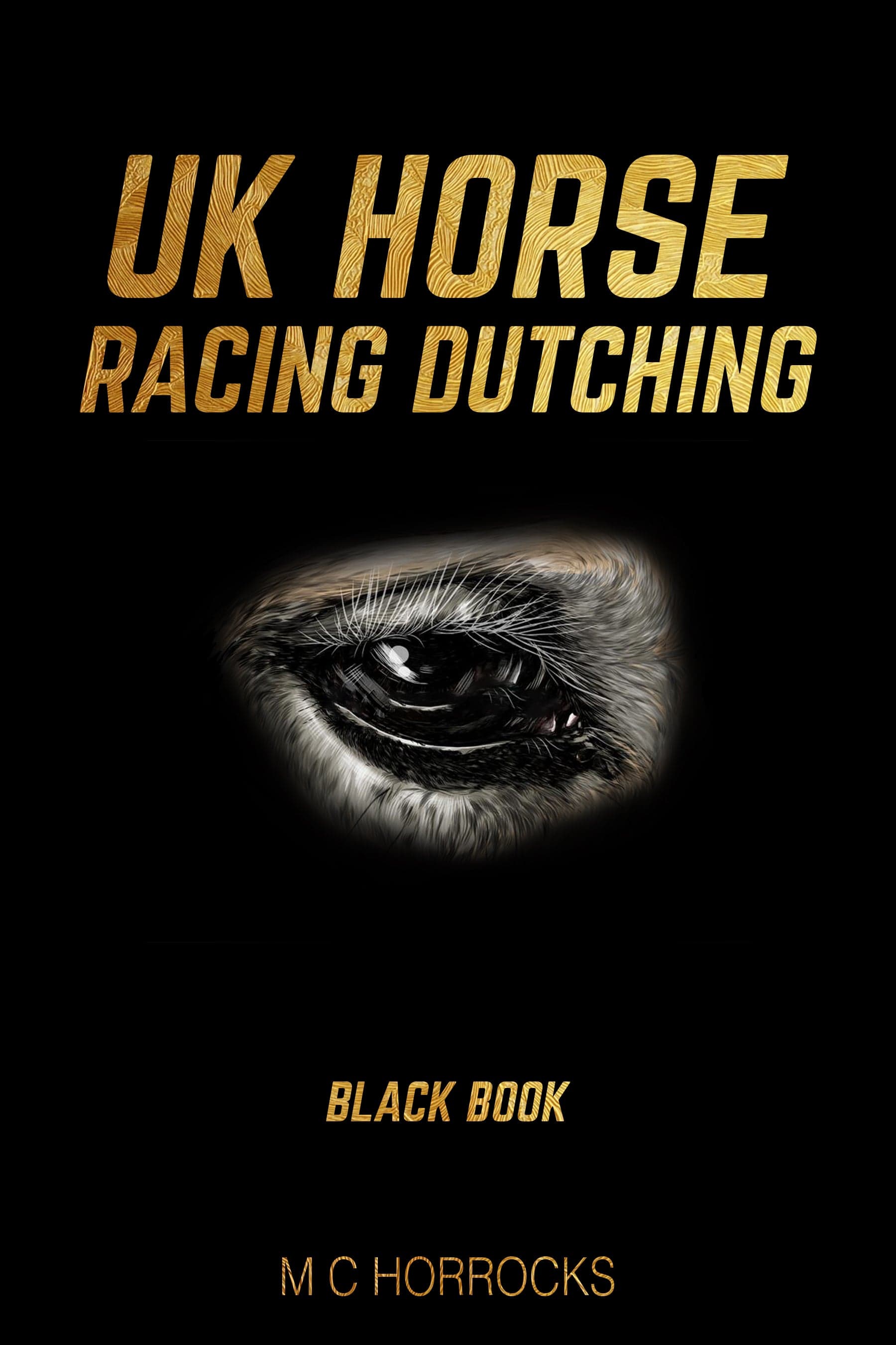 UK Horse Racing Dutching Black   Book horse racing system   
simple horse racing system that  works   
betting systems horse racing    
horse betting system    
simple winning system for horse  racing    
