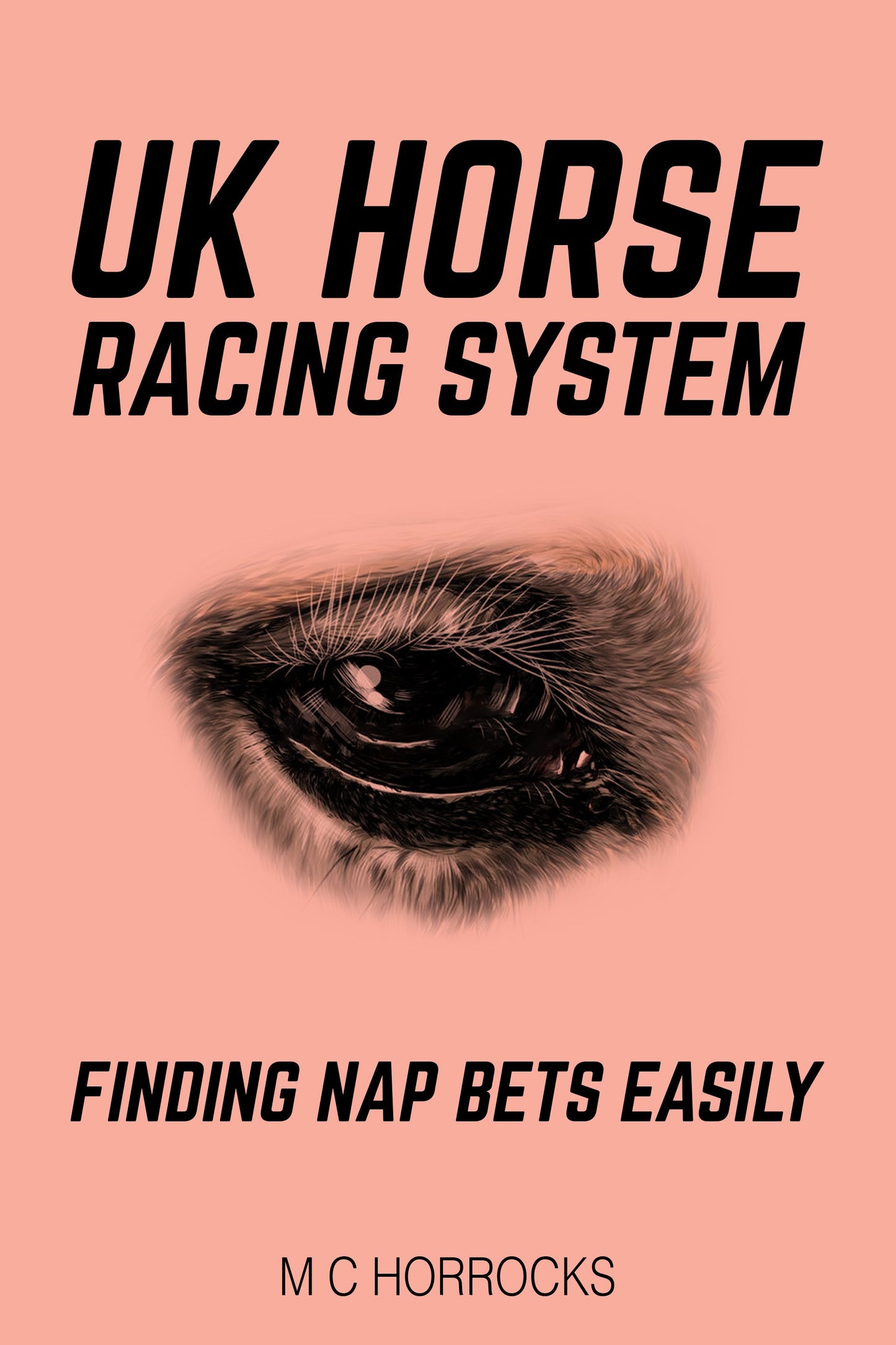 Racing Naps Today System   