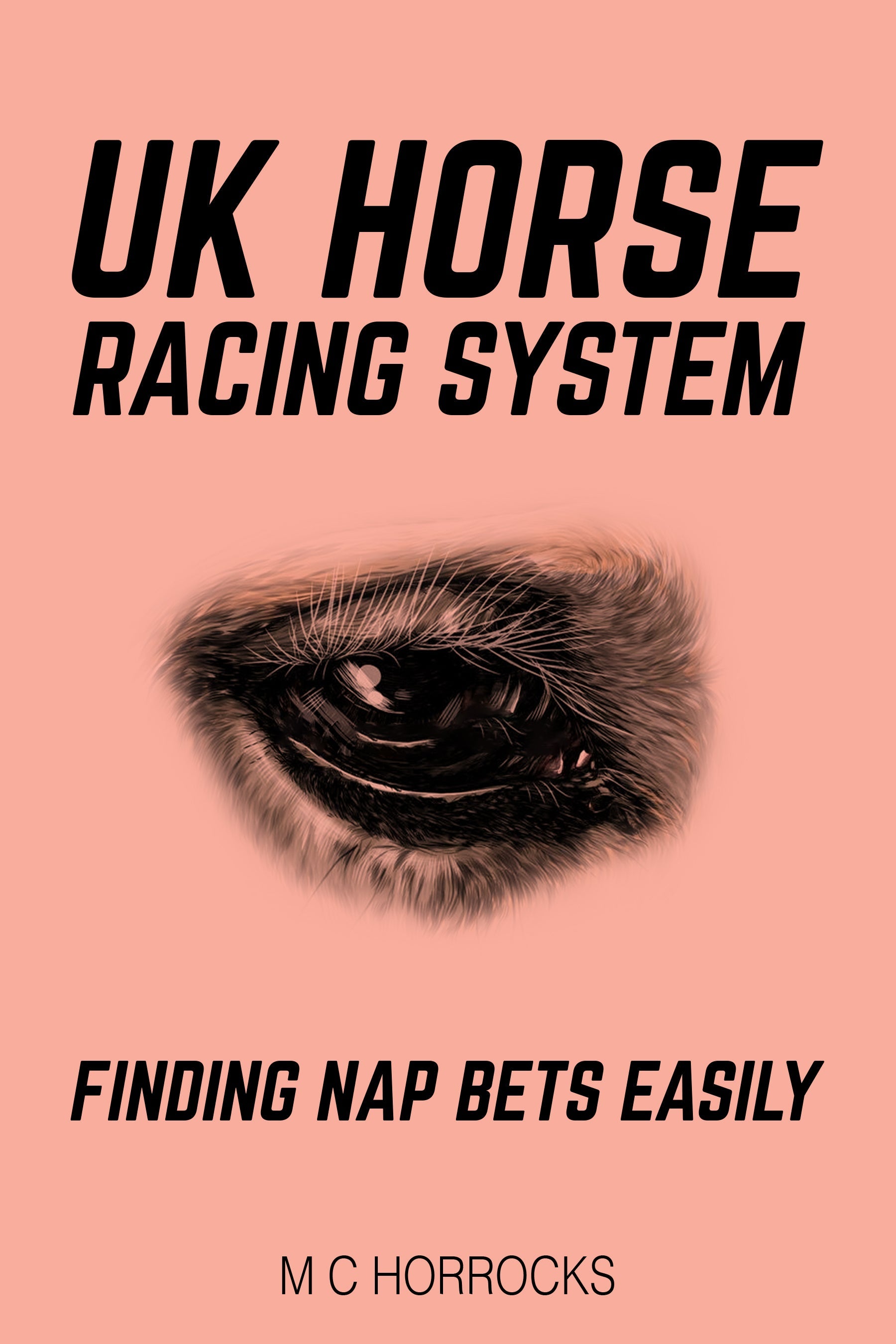 Racing Naps Today System   