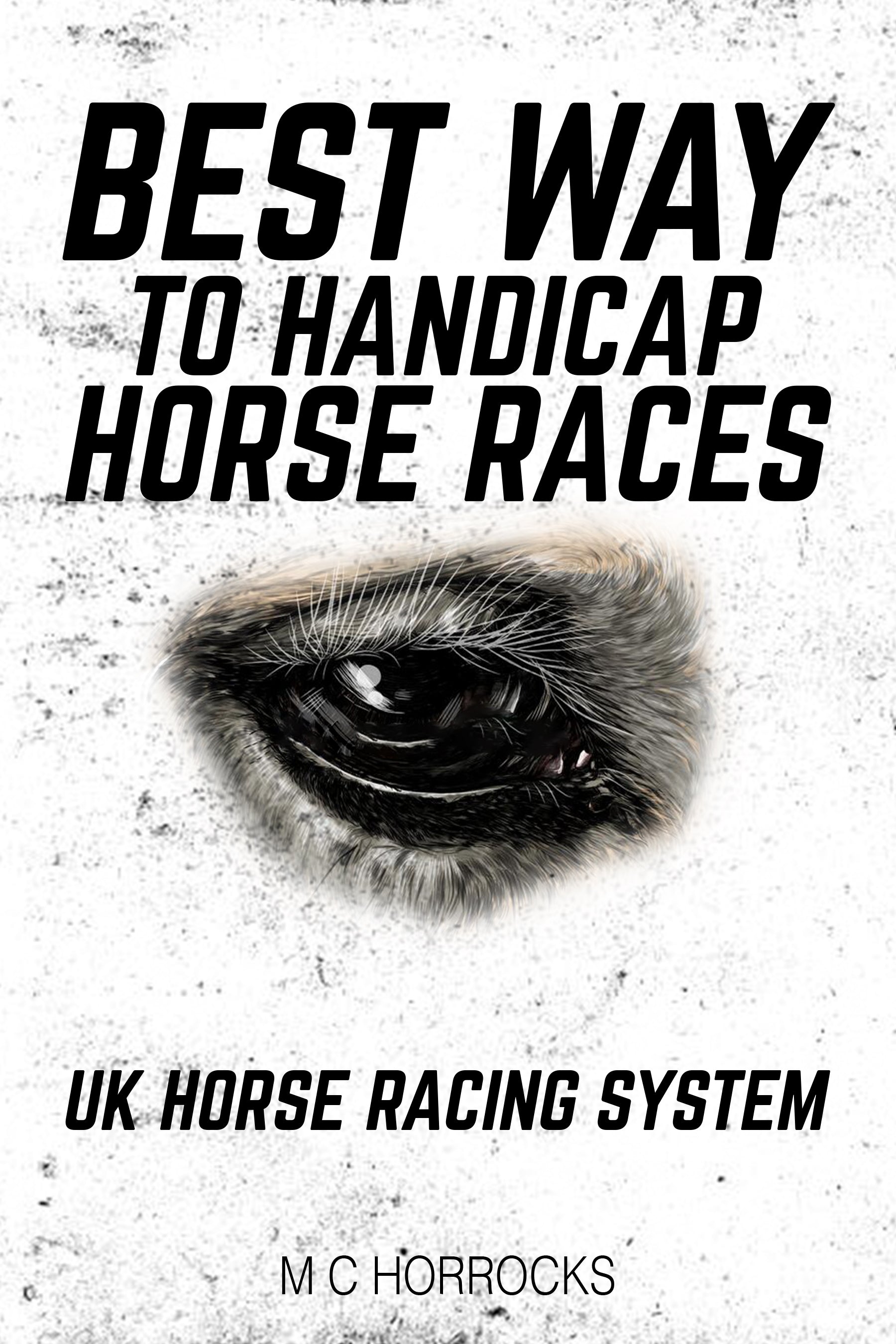 horse racing handicapping formula