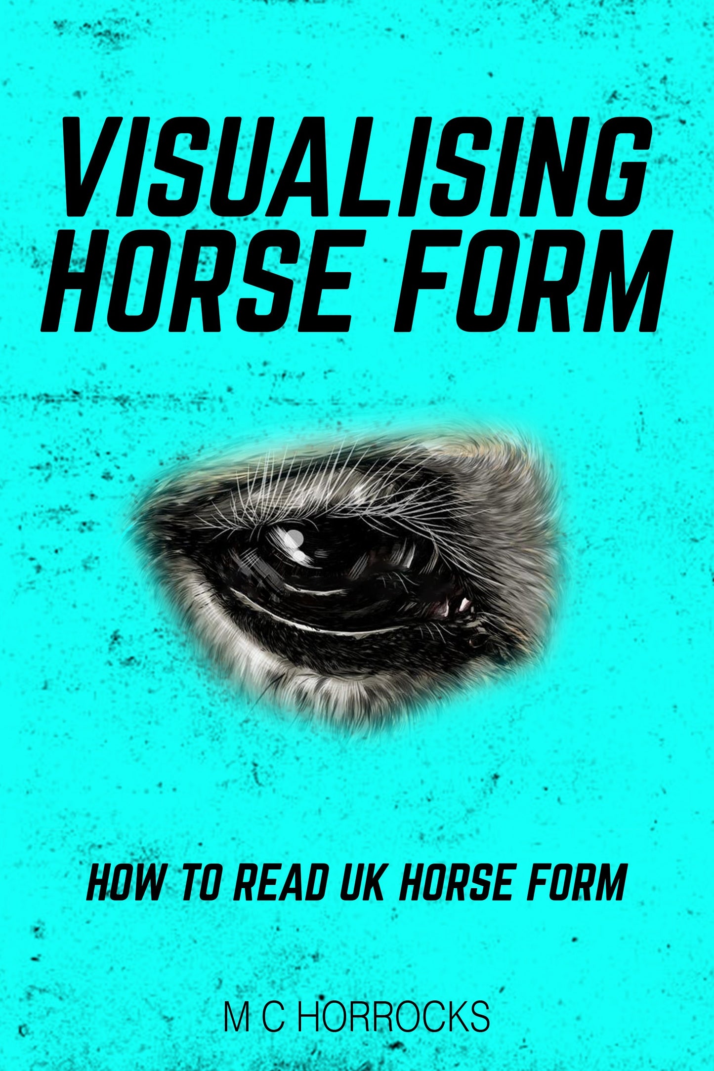 horse racing betting books  
horse betting form  